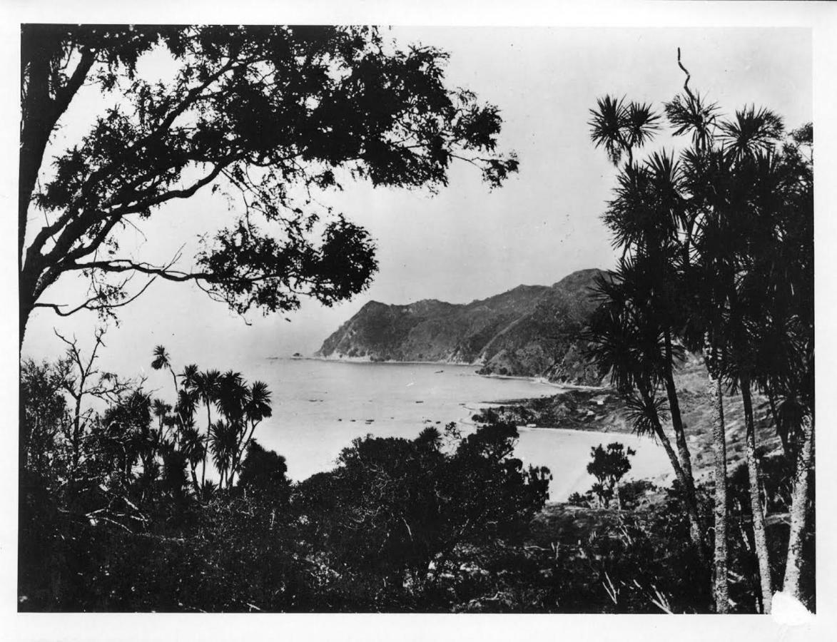 Bed and Breakfast Waipiro Bay Paradise à Te Puia Extérieur photo